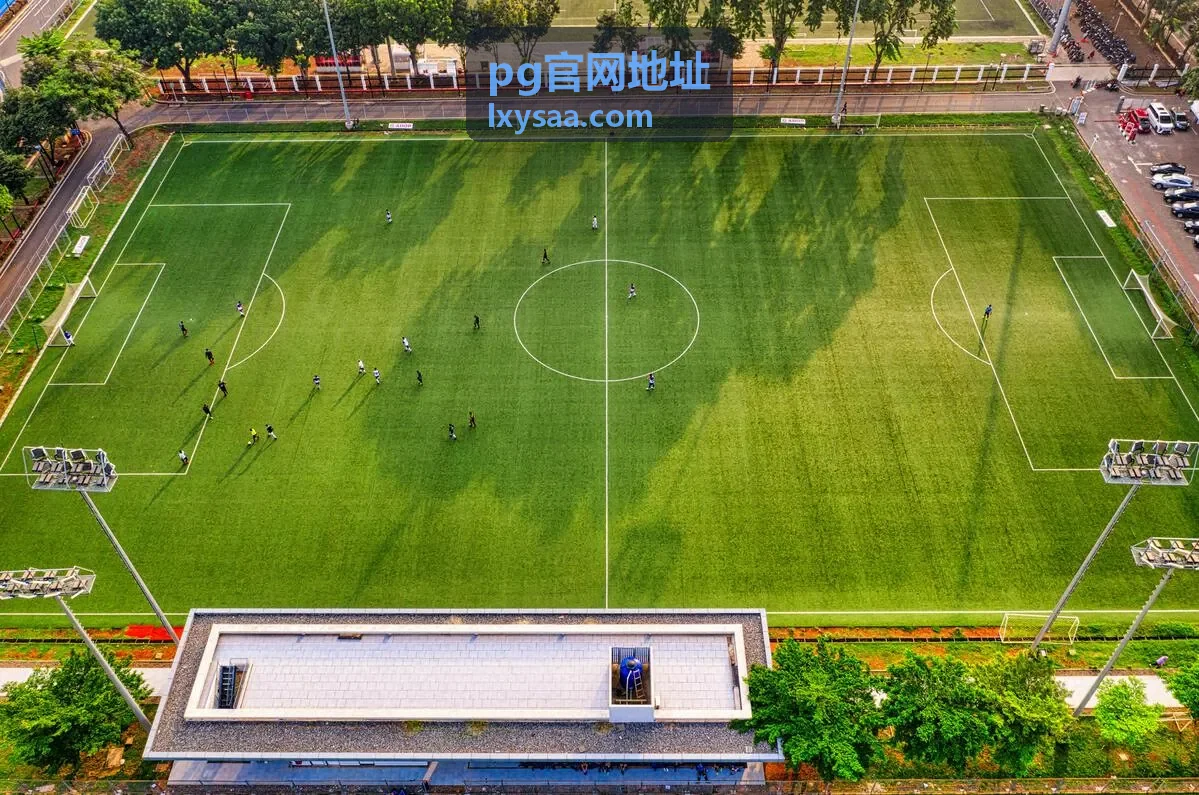 pg官网地址新设备登录后的安全处理