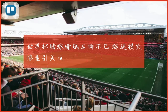 世界杯赌球输钱后悔不已 球迷损失惨重引关注
